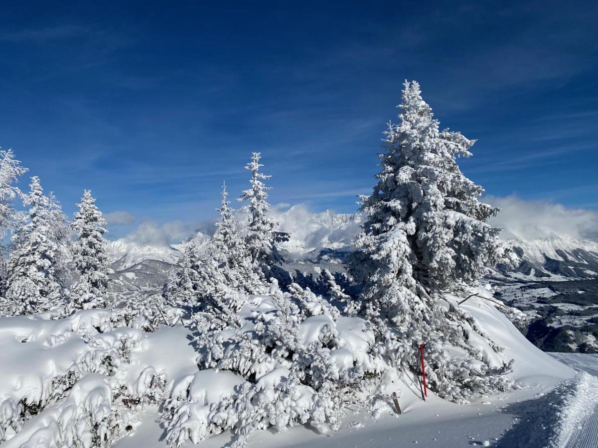 Chalet Reiteralm- Ski Inski Out Schladming Ngoại thất bức ảnh
